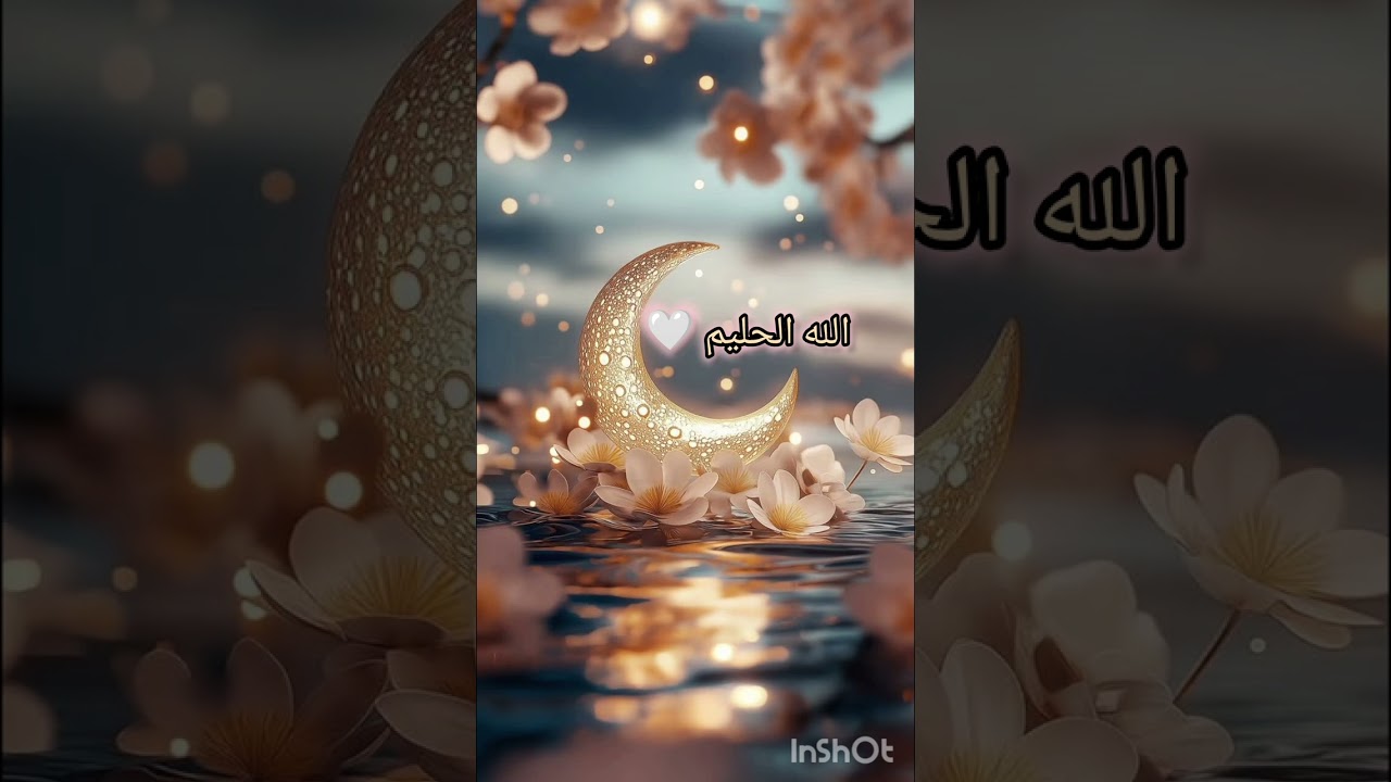شحن اسم الله الحليم 🤍