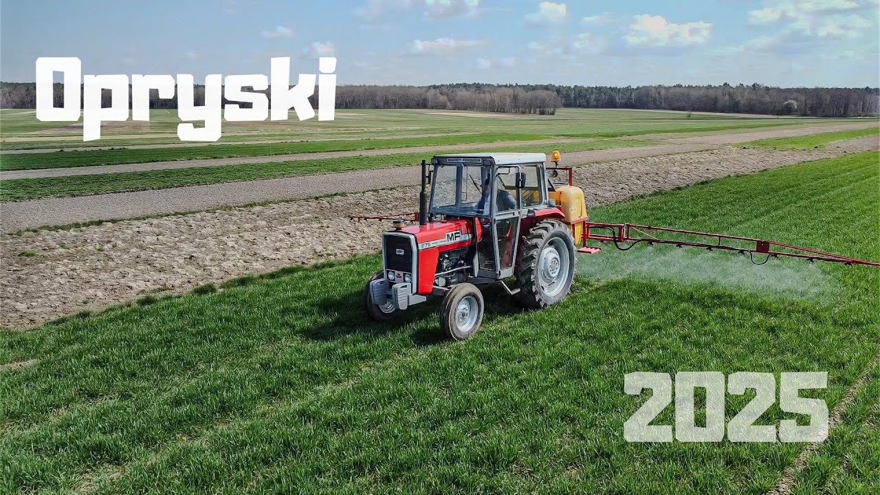 Opryski Na Pszenicę|| Massey Ferguson ✔JarMet||Świętokrzyskie✔2025㋡🇵🇱