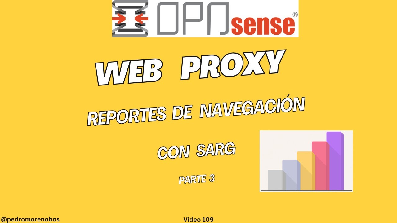 📊 Cómo obtener reportes de navegación en OPNsense (Web Proxy Parte 3)