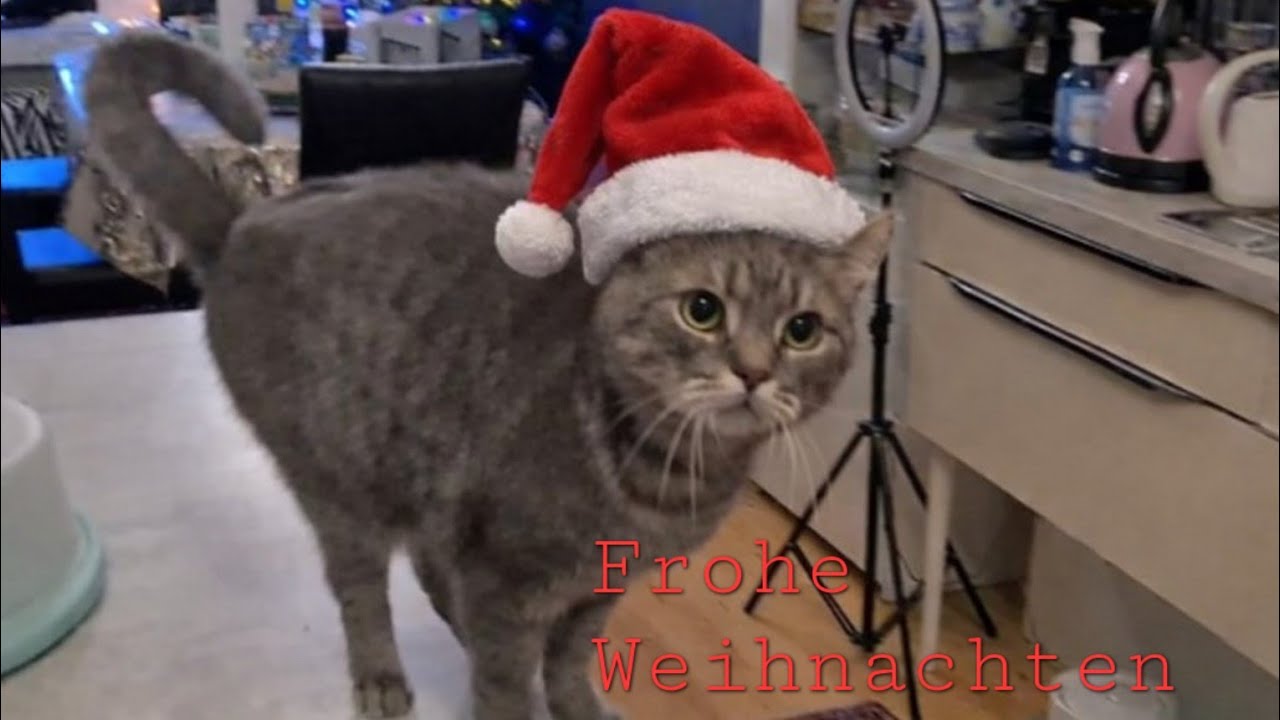 ....Weihnachtsteller statt Frühstück....