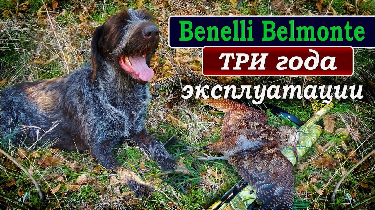 BENELLI Belmonte. ТРИ года эксплуатации