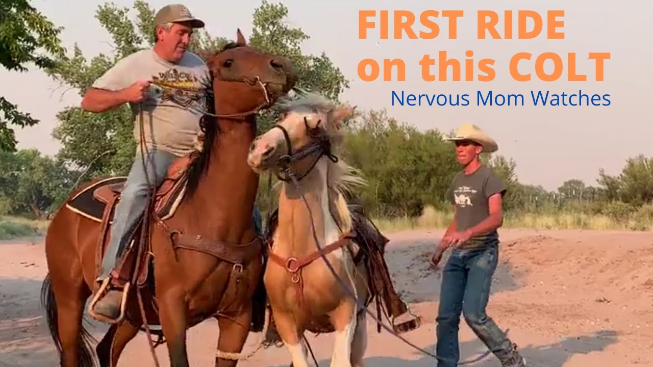 BREAKING A HORSE  | FIRST RIDE EVER