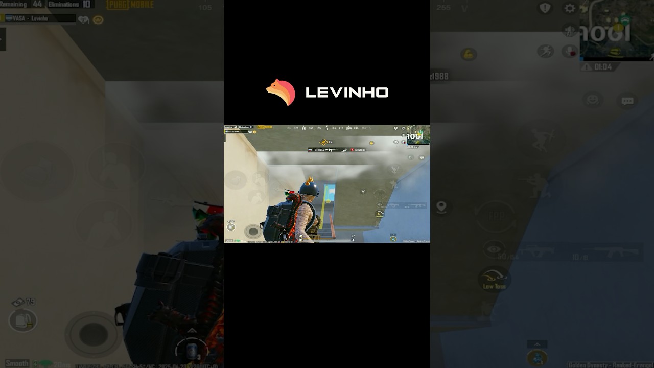 Rate this 1-10 #levinho #pubgmobile #teamvasa