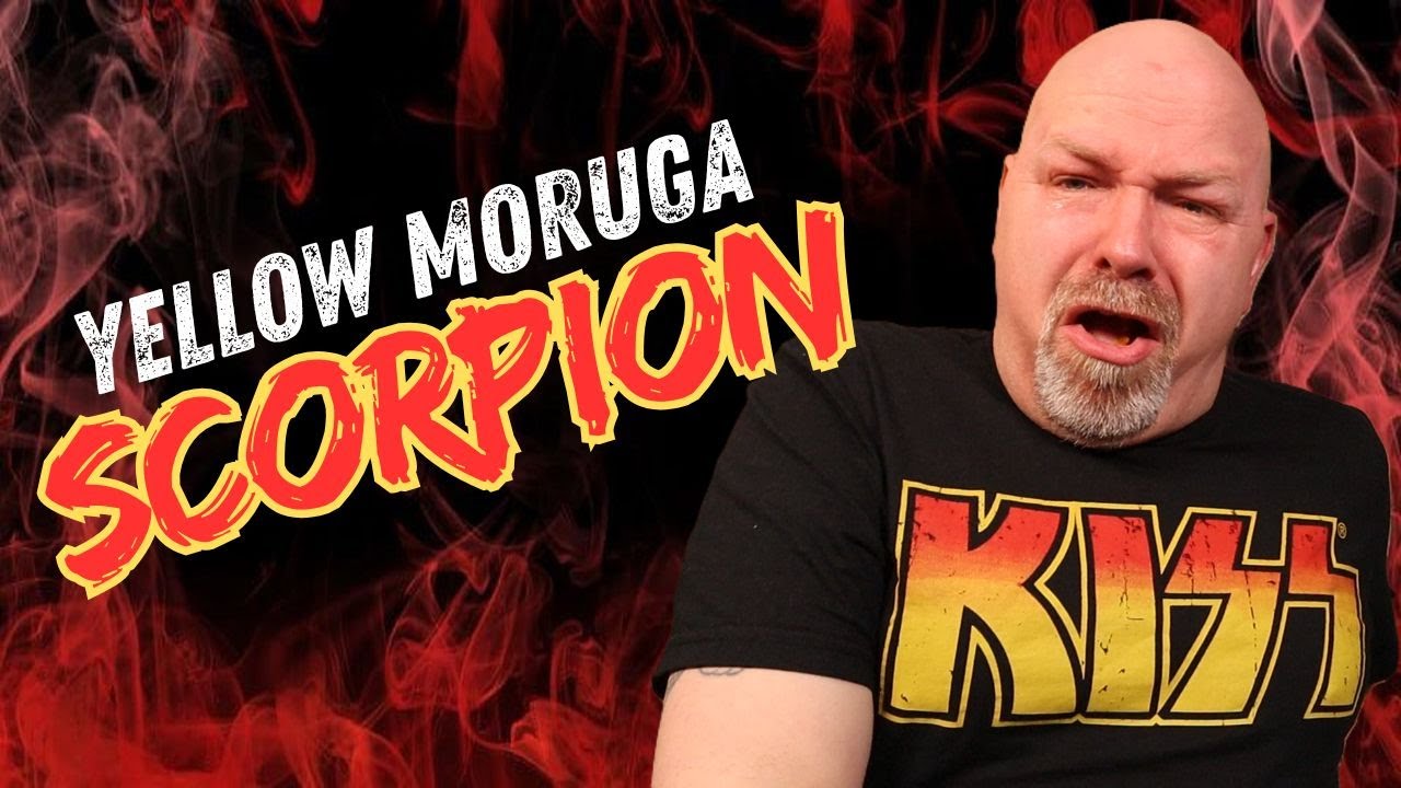 Yellow Moruga Scorpion Er Bare Smerte!