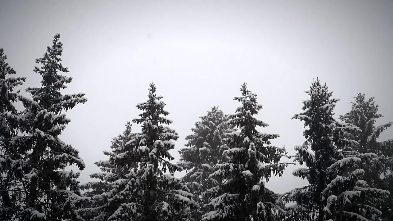 🎄 Christmas Instrumental LIVE | Relaxing Holiday Music 🎶✨