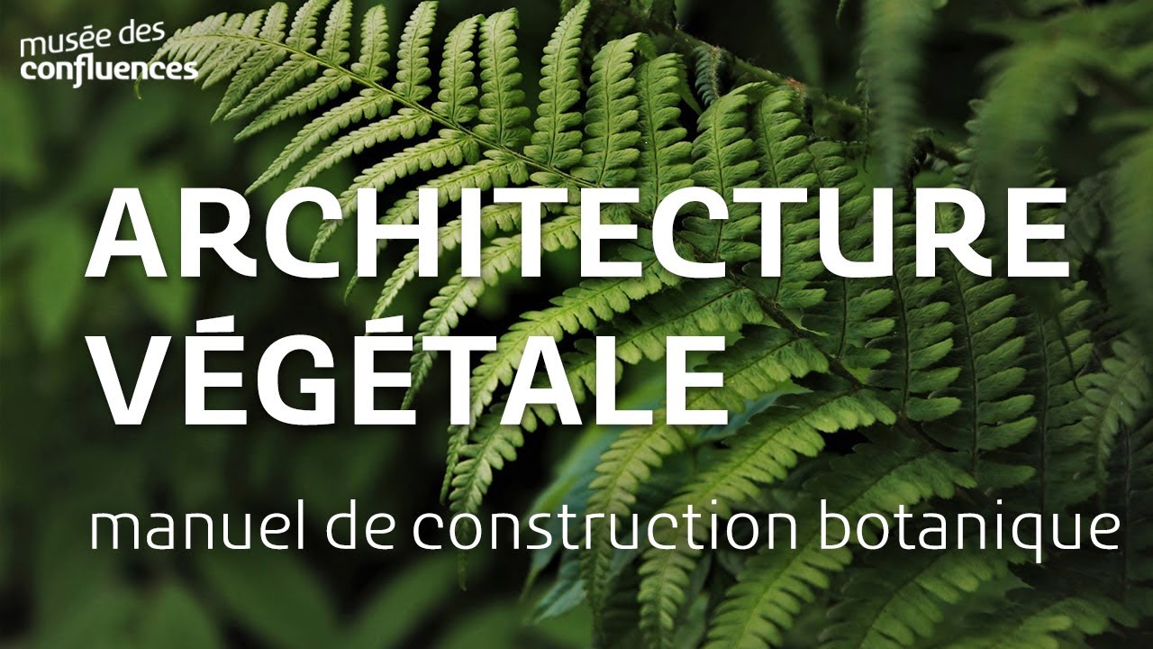 Architectures v&eacute;g&eacute;tales : petit manuel de construction botanique