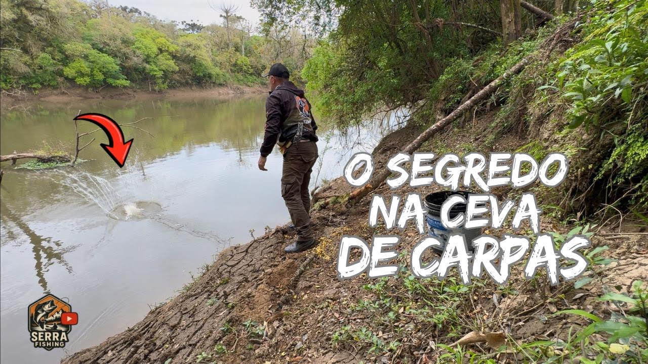 A Ceva que faz as CARPAS enlouquecerem no rio! pescaria 🎣