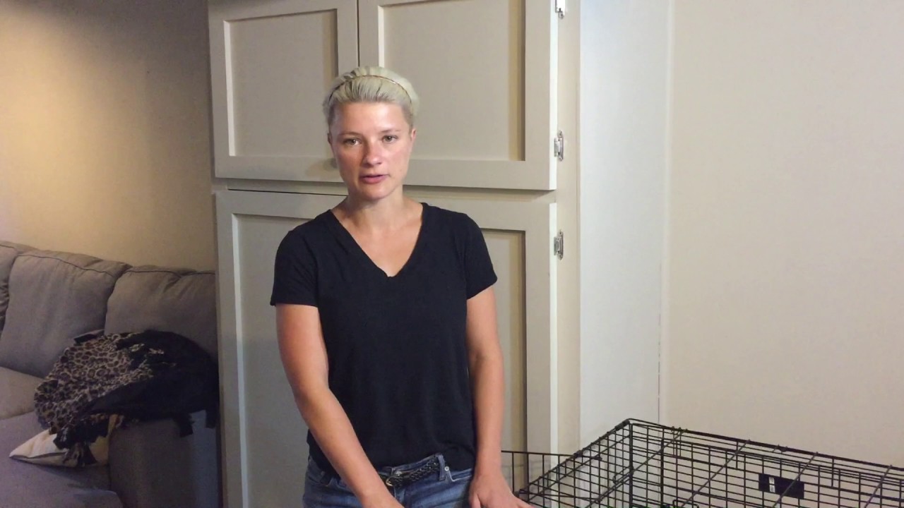 Luna Crate Training for Separation Anxiety