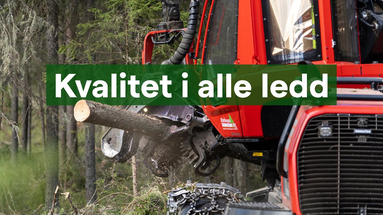 Hvordan se og bedømme virkesfeil fra hogstmaskinen?
