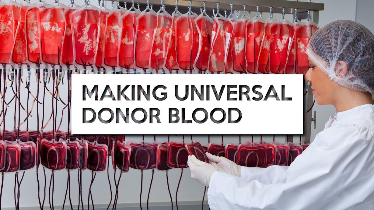 What are Blood Types? Can Science Create Universal Donor Blood From Other Types?