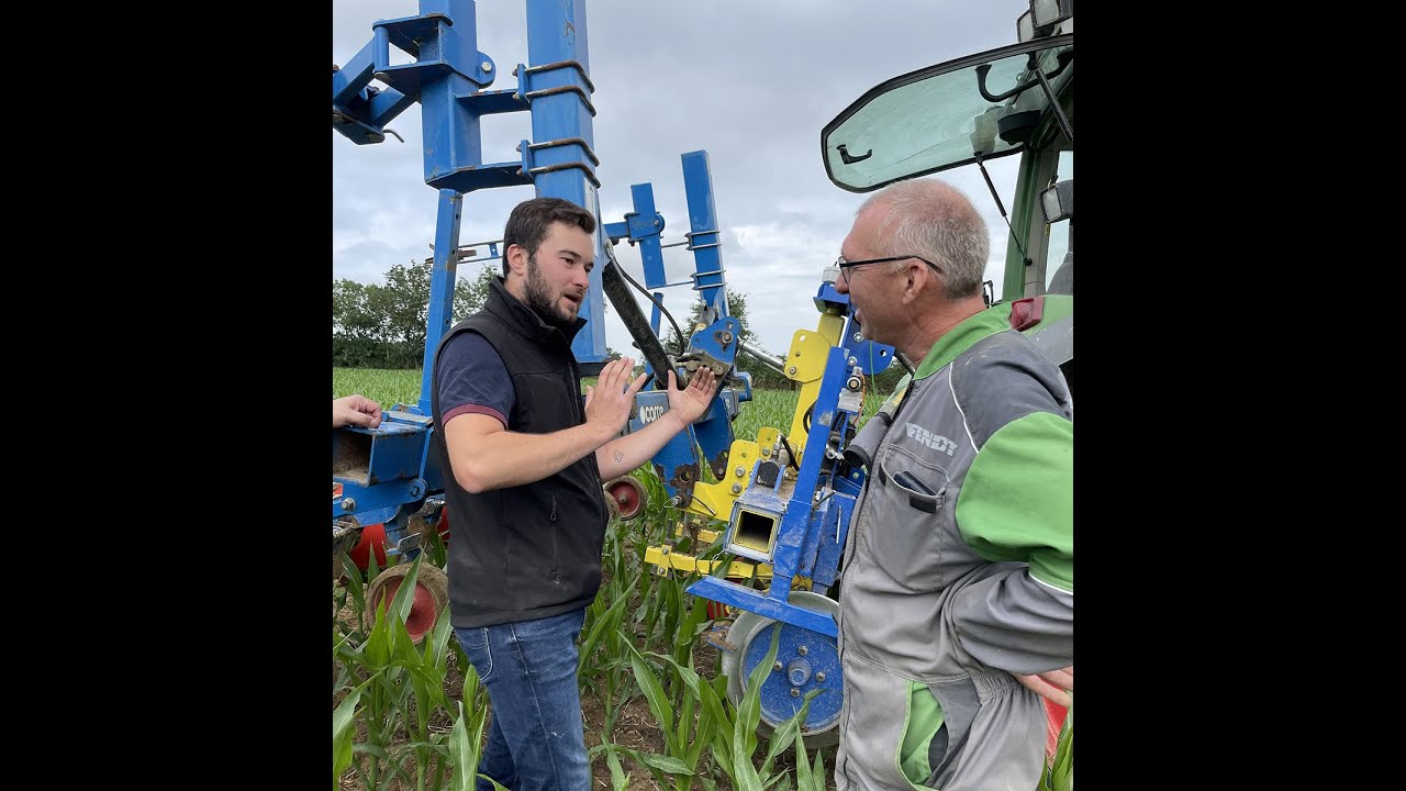 Binage maïs avec l'interface Précizo