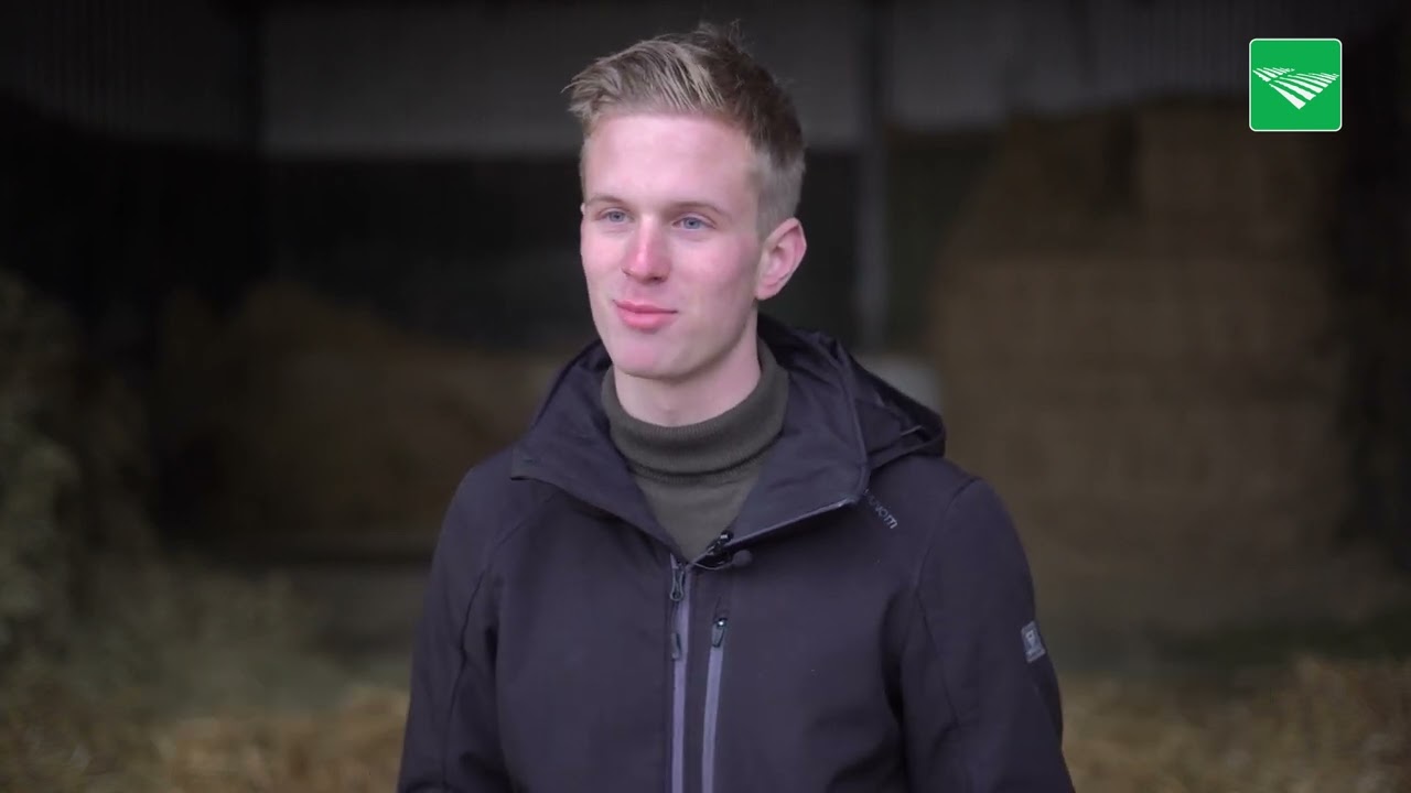 Studenten Zone College beoordelen koeien