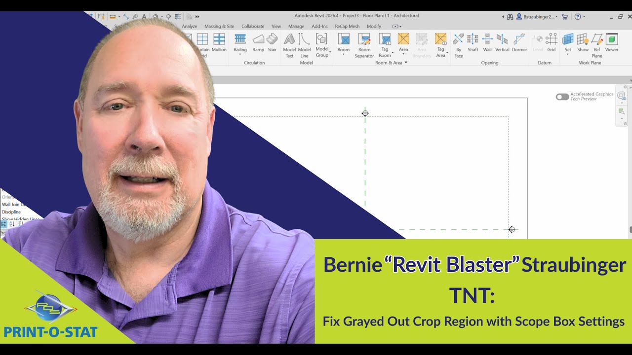 Revit TNT: Fix Grayed Out Crop Region with Scope Box Settings