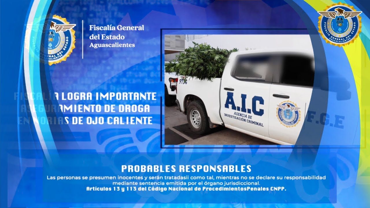 FGEA LOGRA IMPORTANTE ASEGURAMIENTO DE DROGA EN NORIAS DE OJO CALIENTE.