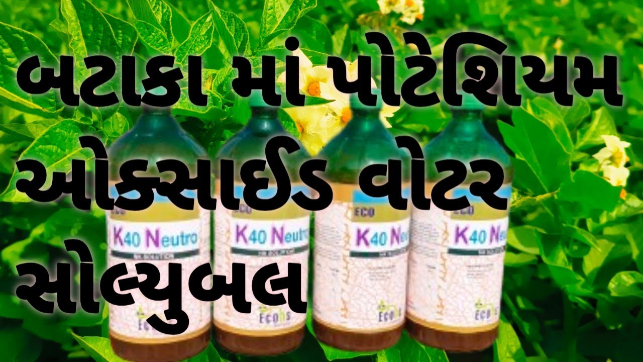 બટાકા માં  પોટેશિયમ ઓક્સાઈડ વોટર સોલ્યુબલ #new#explorepage #viral #farming  