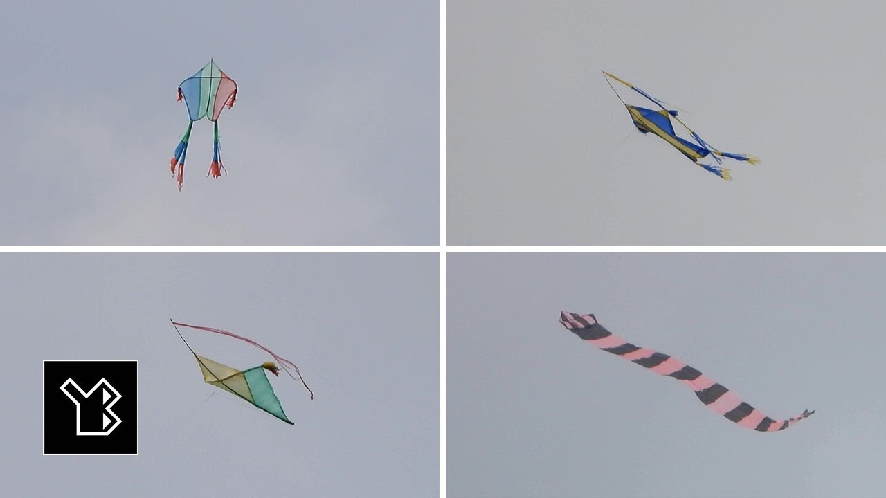 Kites Dominating Open Skies, Captured Using Nikon COOLPIX P1000