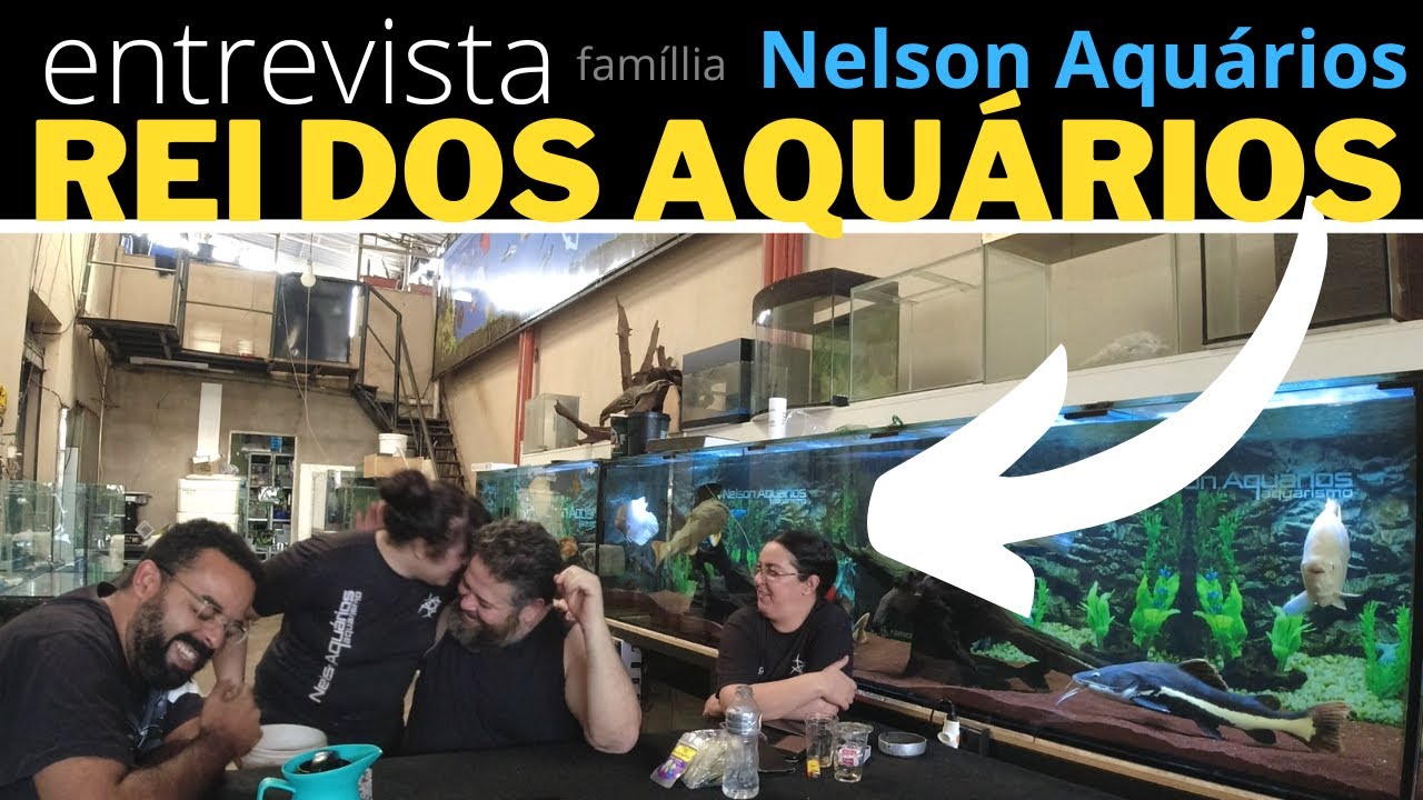colocou a FAMÍLIA TODA no AQUARISMO!  bate papo na Nelson Aquários em Uberlândia MG