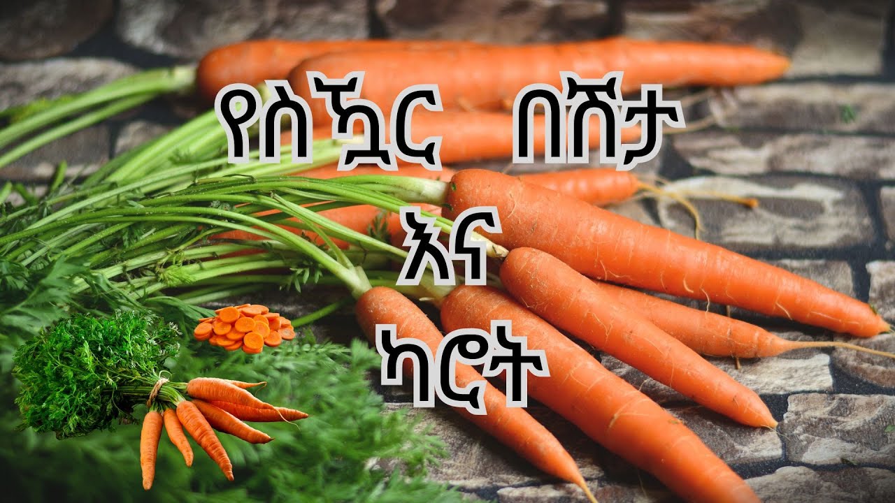 የስዃር በሽታ እና ካሮት!!!! DM and Carrot