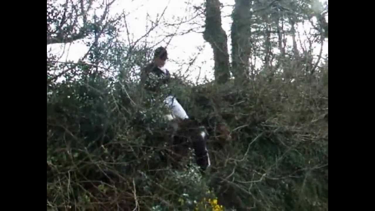 Killinick Harrier's Hunt Murrintown