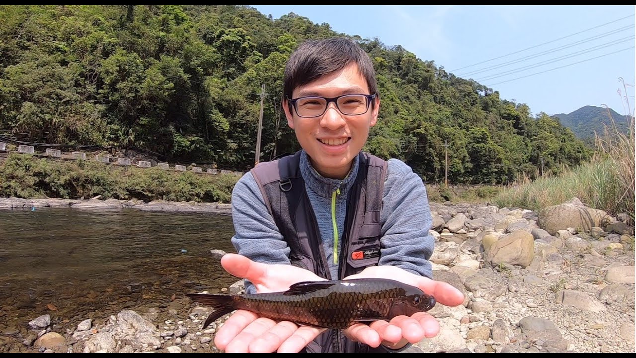 逮魚堀溪路邊釣點超大石斑出水，溪蟲的魅力無法擋 !