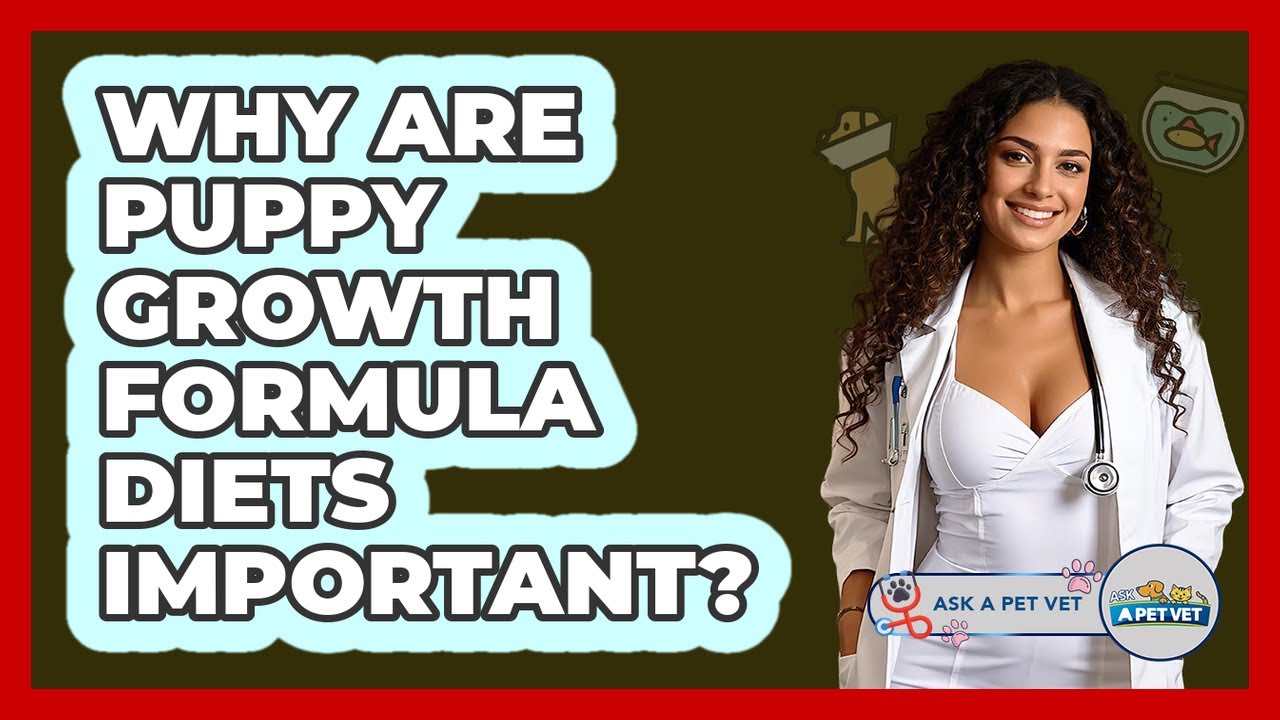 Why Are Puppy Growth Formula Diets Important? - Ask A Pet Vet