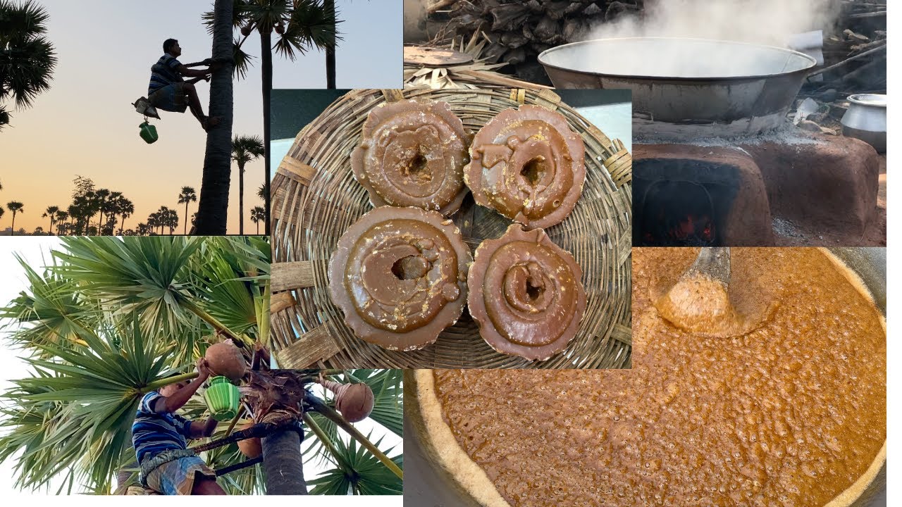 Palm Sugar Making | Village Lifestyle|How to make Palm Jaggery|கருப்பட்டி செய்யும் முறை |பனை வெல்லம்