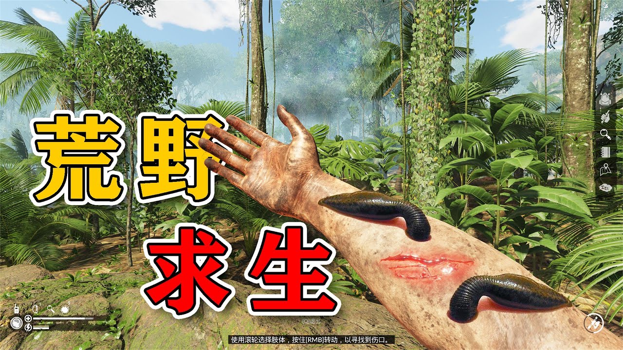 綠色地獄：森林裏的螞蟥太狡猾，差點就鉆進去了
