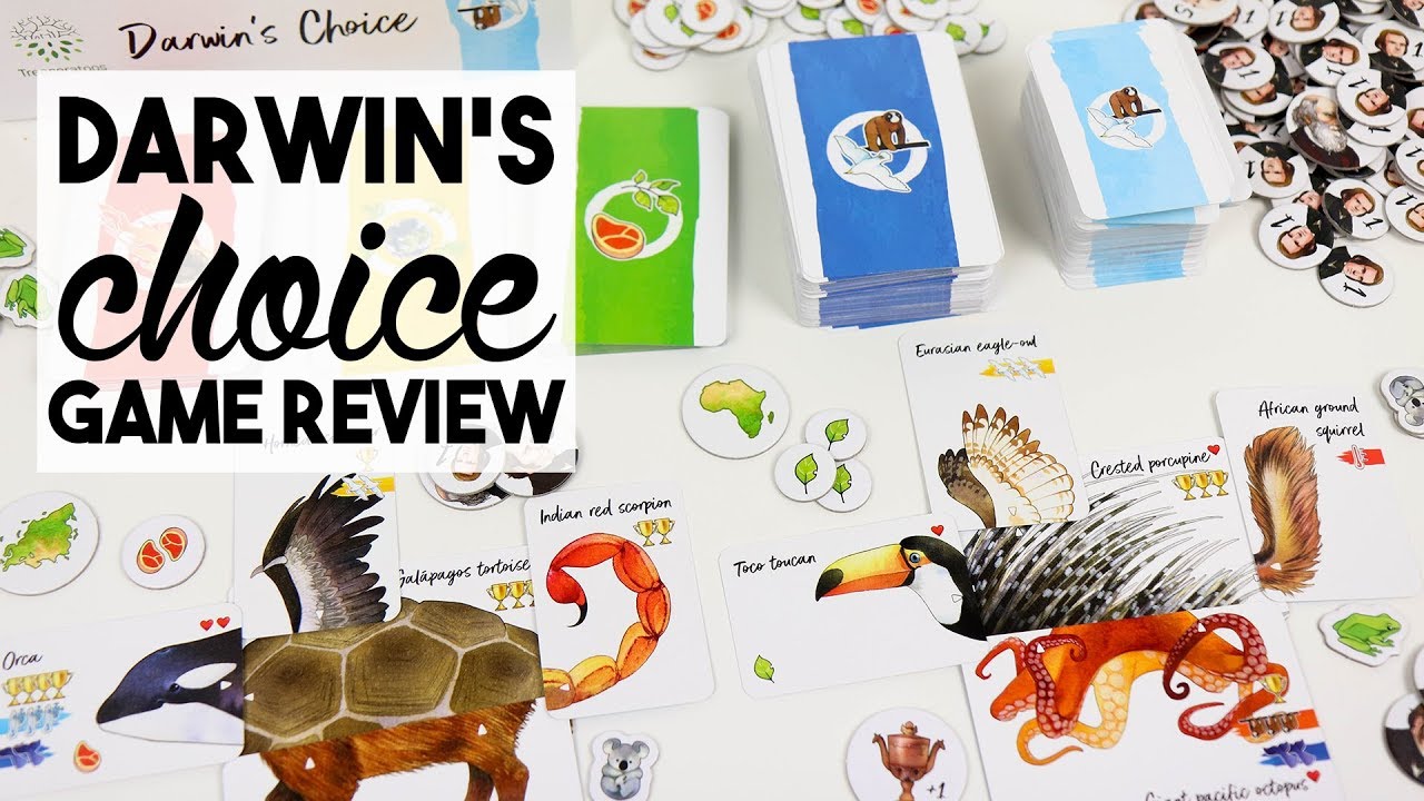 Darwin's Choice Game Review (How to Play)