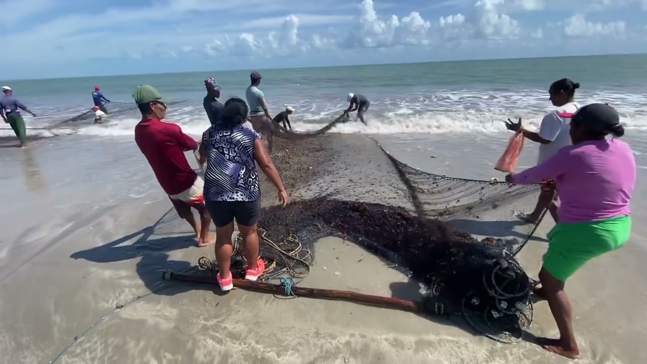 Praia de Lucena Paraíba chegada do arraste de rede dos pescadores