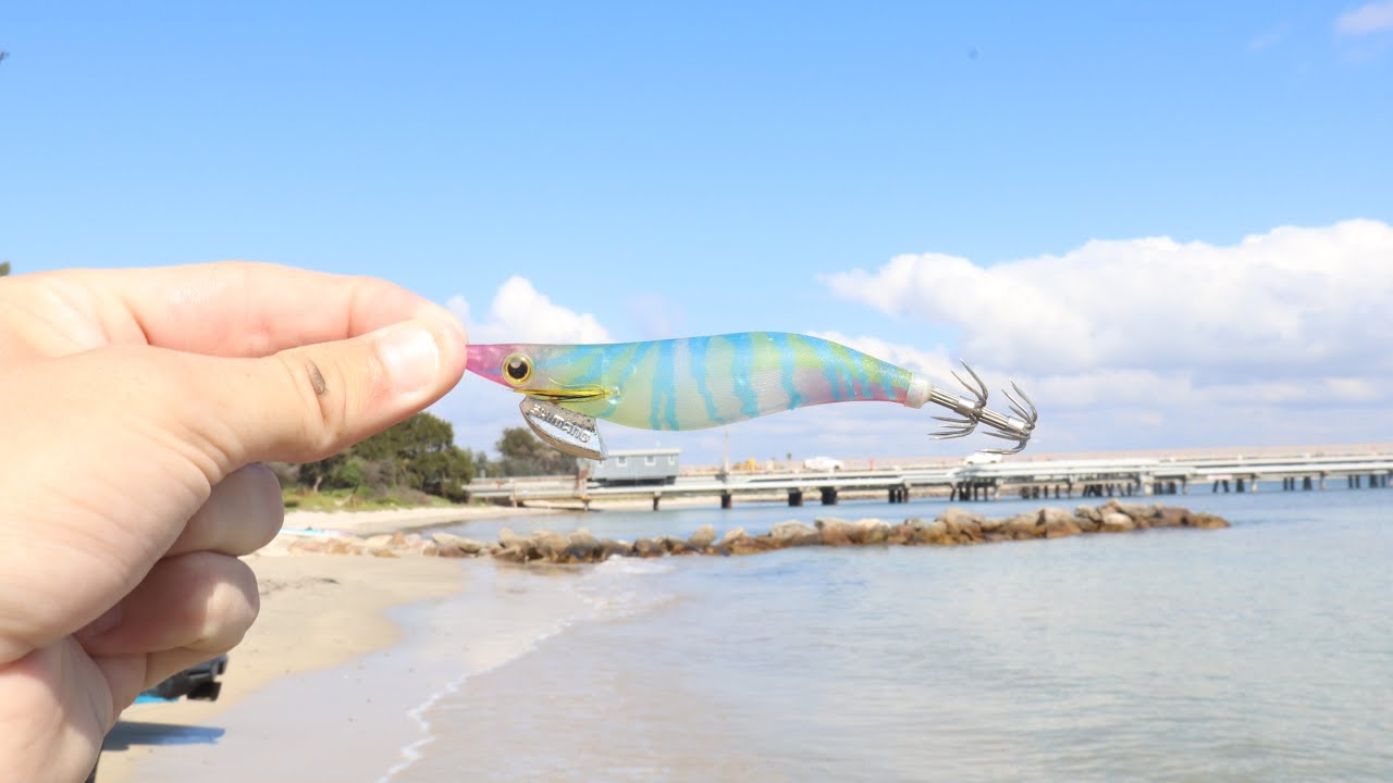 The squid loved this jig !!!  ||Chasing big Sydney Squid  ||