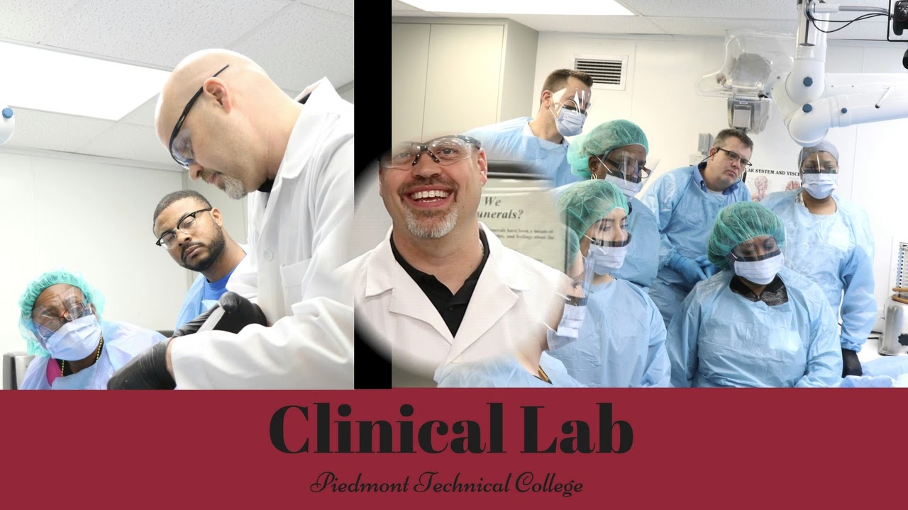 Professional Embalmer's Institute