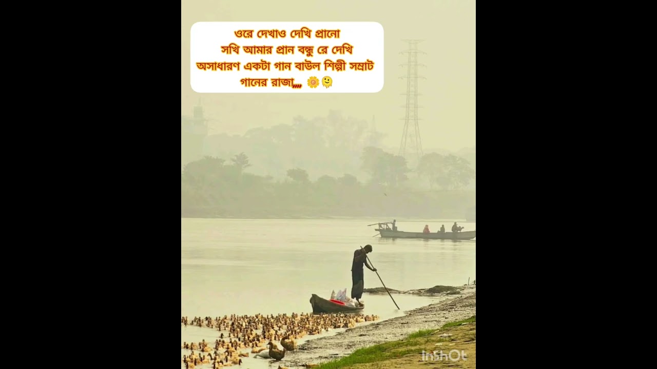 ওরে দেখাও দেখি আমার প্রান বন্ধু রে   দেখি বাউল শিল্পী সম্রাট,, 🙂🫠