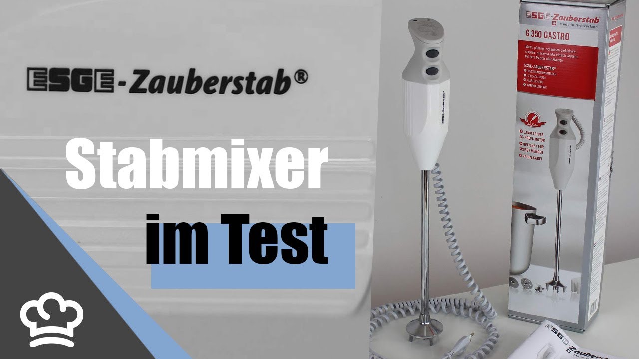 ESGE G350 Gastro Stabmixer im Test