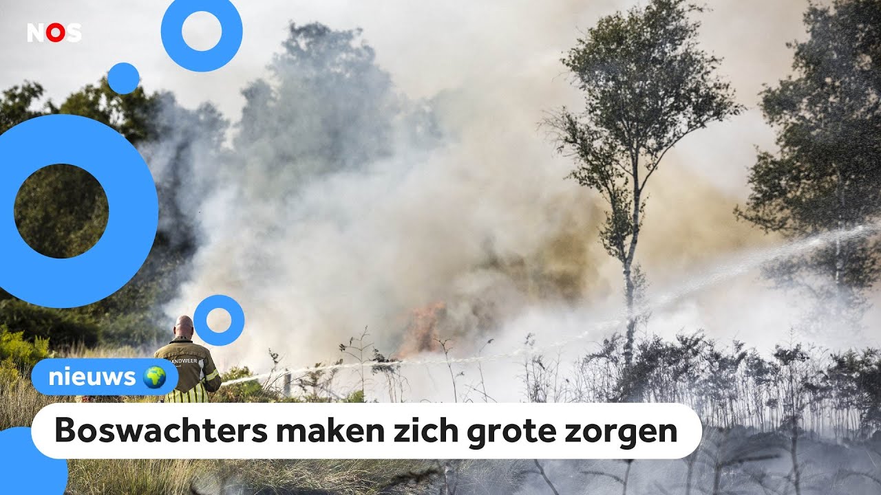 Grote natuurbrand in Limburg