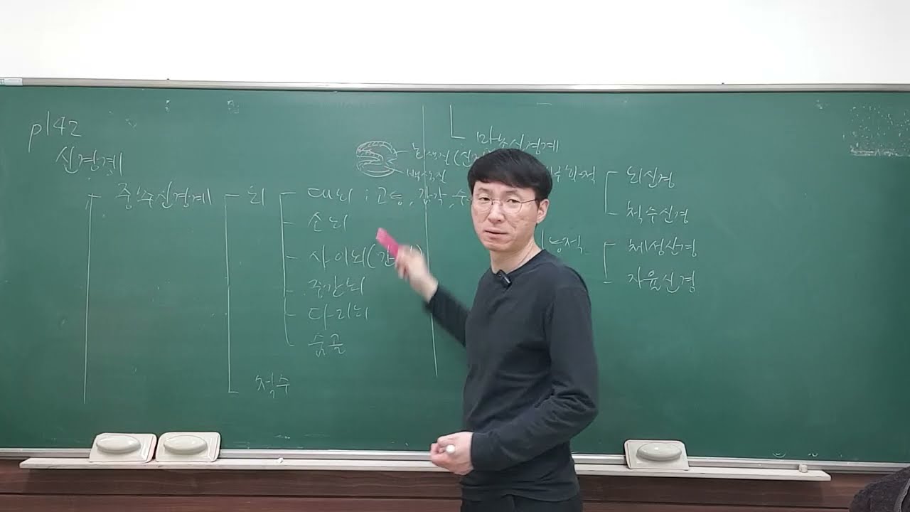 2026-03-15-일-고2-생명과학-22개정-신경계-FHD