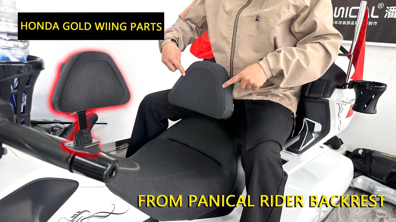 Honda gold wing rider backrest from panical