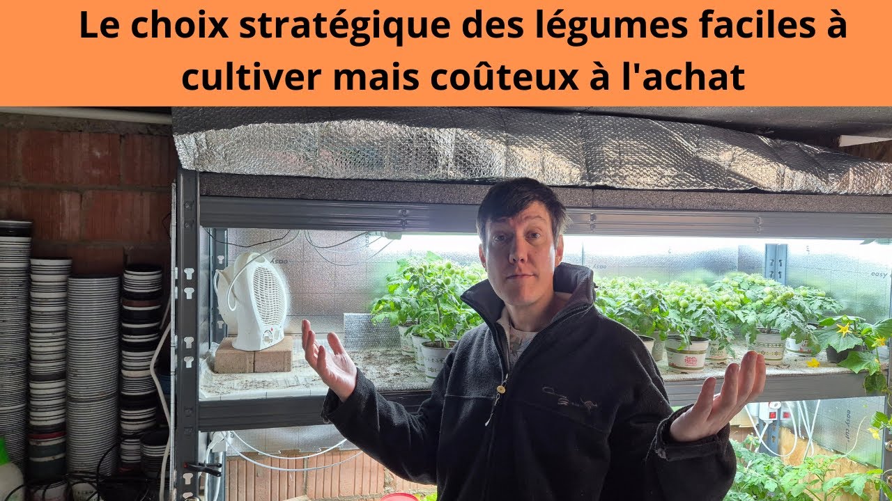 Le choix stratégique des légumes faciles à cultiver mais coûteux à l'achat