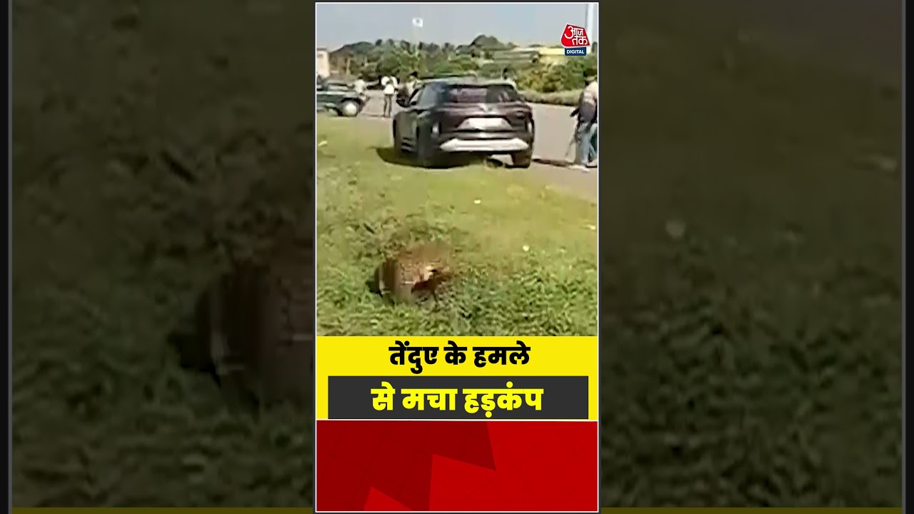 Viral Video: तेंदुए के हमले से मचा हड़कंप #viral #shorts #trending #ATShorts
