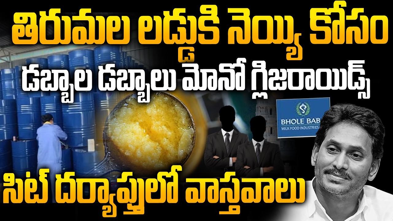 కల్తీ నెయ్యి కోసం మోనోగ్లిజరాయిడ్స్ | Huge Monoglycerides Mix in TTD Adulterated Ghee | Siti 24x7