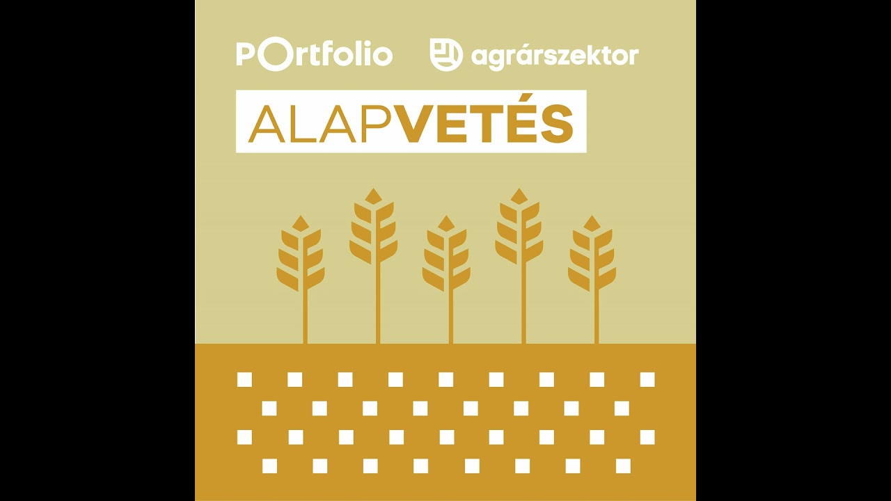 Feje tetejére állt a világ: ezt az egész gabonapiac megszenvedheti