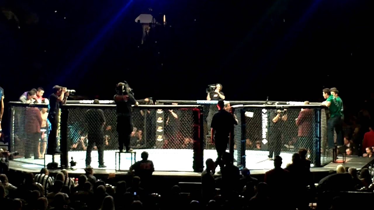 Bruce Buffer Intro at Ufc126 Chad Mendes vs Michihiro Omigawa
