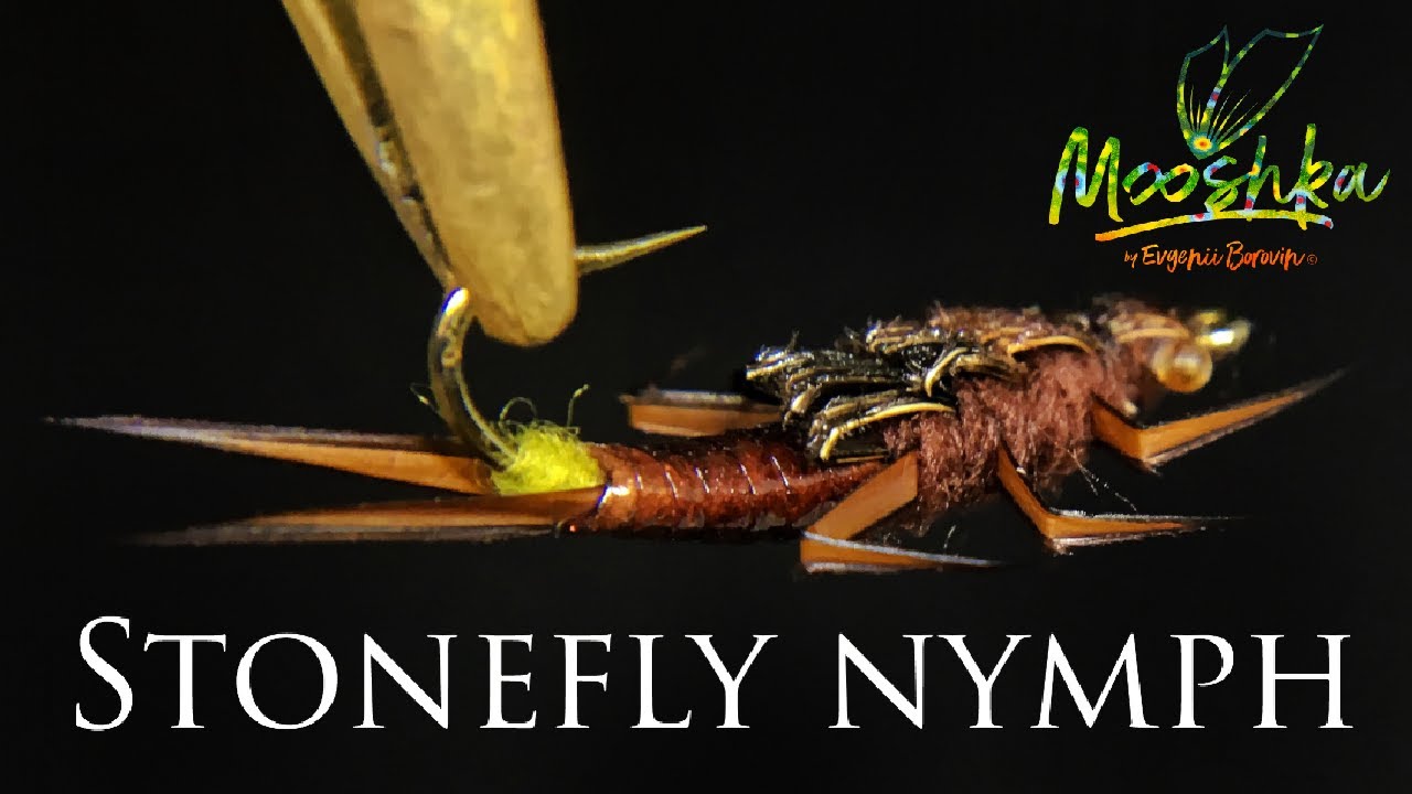 Нимфа Веснянки / Stonefly nymph