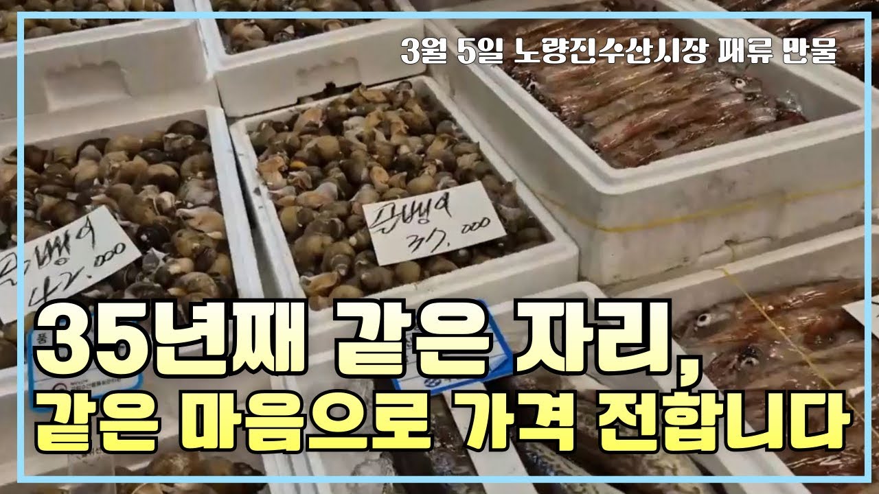 3월 5일 노량진수산시장 만물 (패류031) 시세정보 입니다. 35년 경력으로 믿고 찾아주세요☺