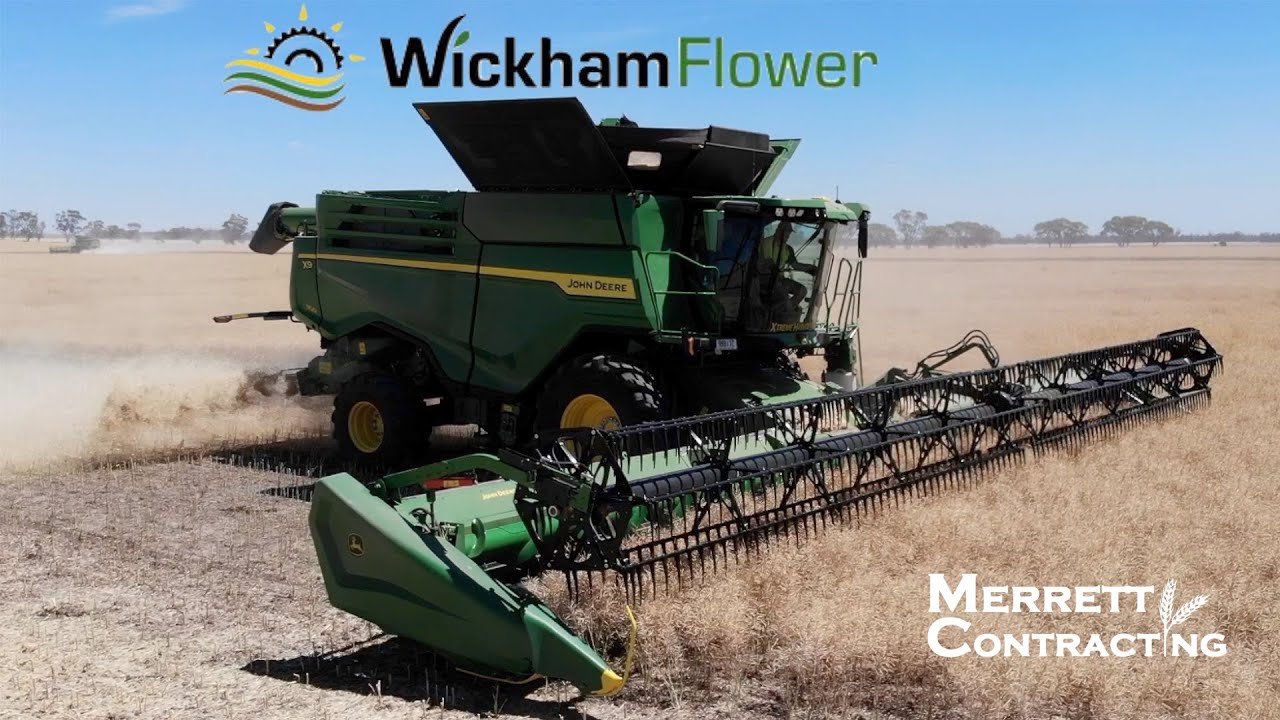 John Deere X9 собирает урожай рапса в Австралии! | Wickham Flower | Снято 12 марта 2021 г.