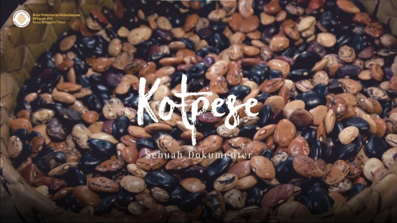 Dokumenter Kotpese