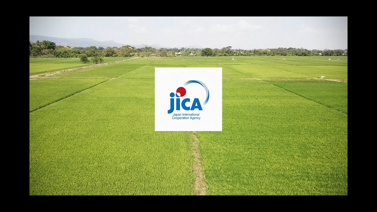 【JICA Project NINJA】Business Plan Competition in Tanzania –Selected Tanzanian Innovative Startups-