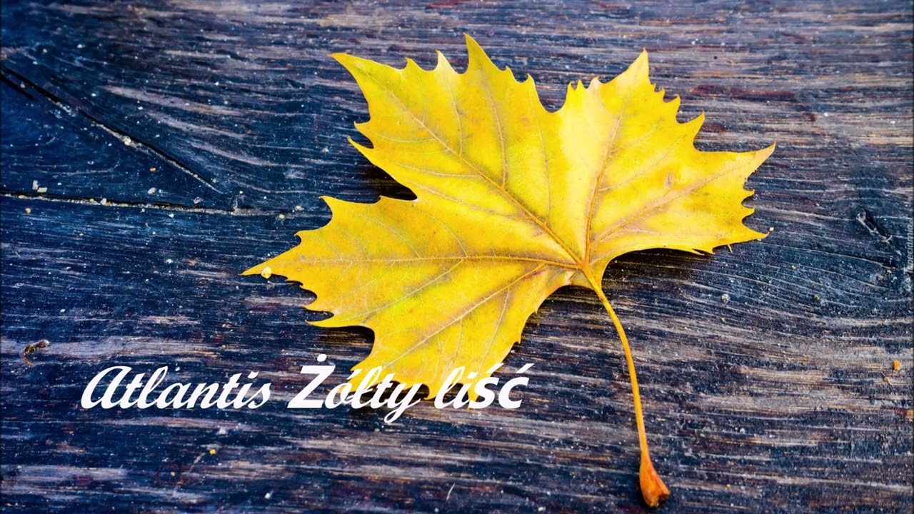 Atlantis - Ż&oacute;łty liść 🍂