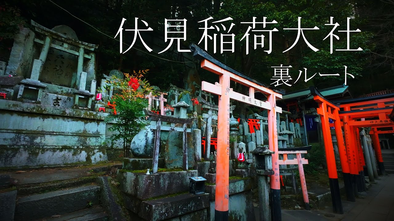 【裏伏見稲荷大社】ほとんど知られていない伏見稲荷の裏道 【京都旅Vlog】 | Kyoto Fushimi Inari Taisha | 4K