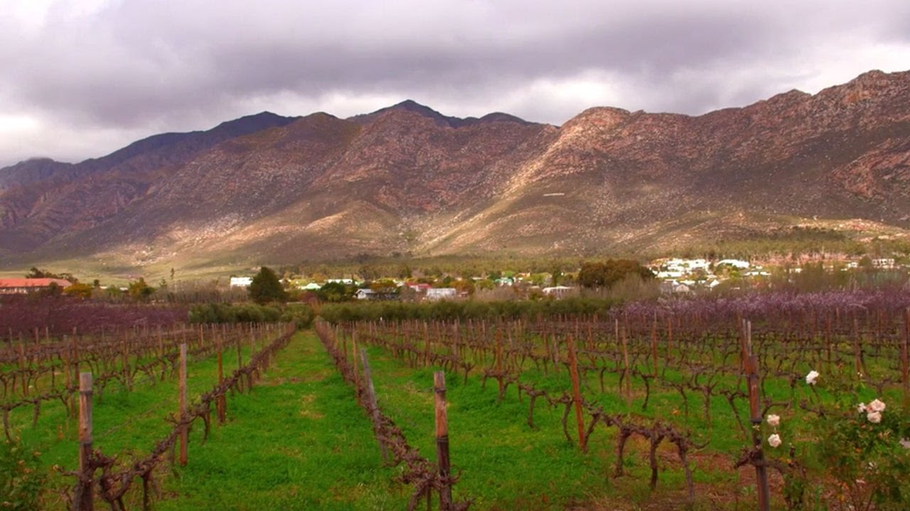 Untamed Africa | The Garden Route National Park