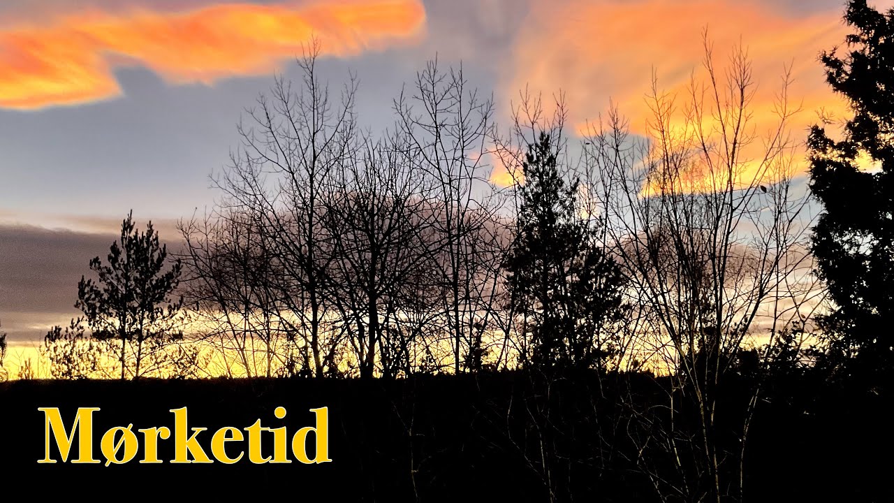 Mørketid